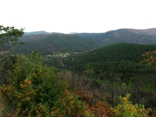 BESSEGES - BORDEZAC PAR LE HAUT CHANET-gard