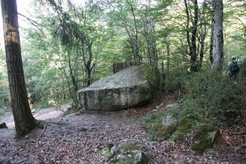 SAINT-SAUVEUR-CAMPRIEU-gard