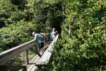 SAINT-SAUVEUR-CAMPRIEU-gard
