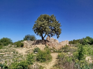 LAUDUN CAMP DE CESAR-gard