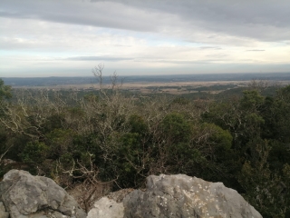 ASPERE VERS LE BOIS DE PARIS-gard