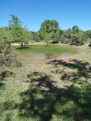 DE MEJANNES à LA TABLE DES TURCS-gard