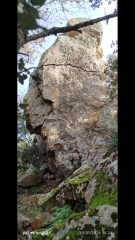 LA BASTIDE -LE PIN-gard