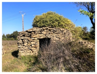 DANS LES BOIS DE ST ETIENNE DES SORTS-gard