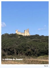 DANS LES BOIS DU JONQUIER ST ETIENNE DES SORTS-gard