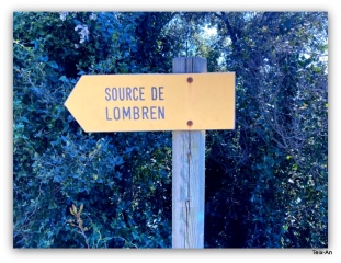 LA SOURCE DE LOMBREN à VéNéJAN-gard