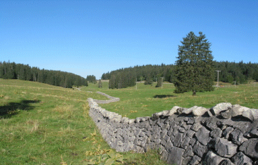 LA FRUITIERE DE NYON-suisse