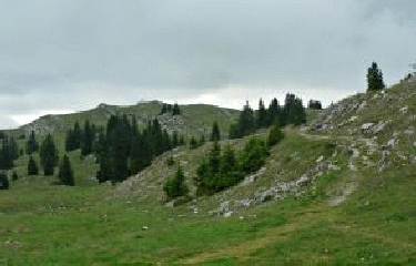 Sommet du Mt-Tendre (1679m)-suisse