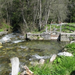 GRAND BISSE DE VEX-suisse
