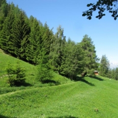 GRAND BISSE DE VEX-suisse