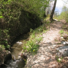 BISSE DE BAAR-suisse