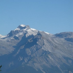 BISSE DE SAXON-suisse