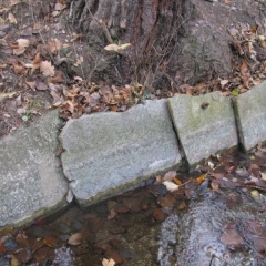 GRAND BISSE DE LENS-suisse