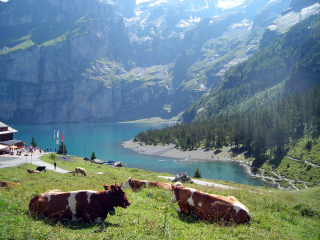 OESCHINENSEE -suisse