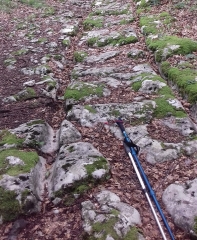 CIRCUIT DES VOIES ROMAINES PUIS DES GORGES DE GOVATANNAZ-suisse