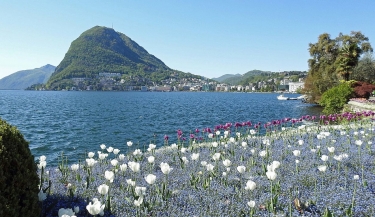 SUISSE - MONTE SAN SALVATORE (TICINO)-suisse