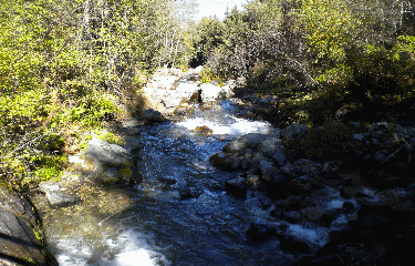 BISSES DE NENDAZ-suisse