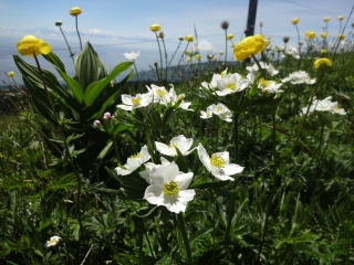 LE CHASSERON (RESTO LE SOLIER) SE FAIT AUSSI EN RAQUETTES-suisse