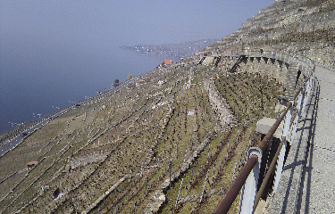 TERRASSES DE LAVAUX - ST SAPHORIN - LUTRY-suisse
