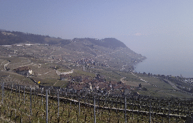 TERRASSES DE LAVAUX - ST SAPHORIN - LUTRY-suisse