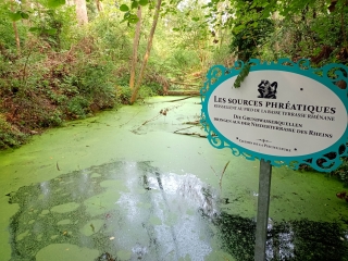 SAINT LOUIS - LA PETITE CAMARGUE ALSACIENNE-suisse