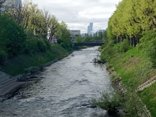 BÂLE (SUISSE) - PAR RANKHOL-suisse