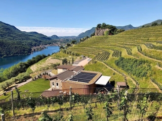 CIMA PESCIA-SUISSE-suisse