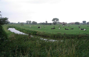 Circuit Beverdijk.-belgique
