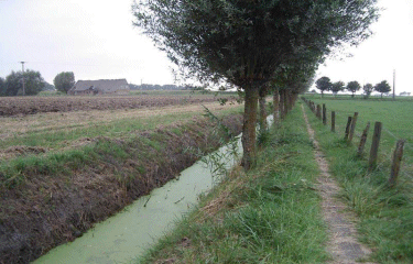 Circuit Beverdijk.-belgique