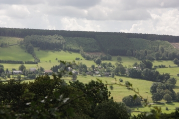 BOIS DE VIELLES FAGNES-belgique