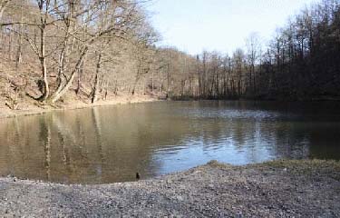 AU NORD DE SPA-belgique