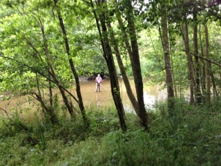 EISLECK TRAIL - HOUFFALIZE - NADRIN-belgique