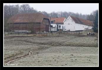 ROSIERE-belgique