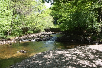 DE POLLEUR A SPA-belgique