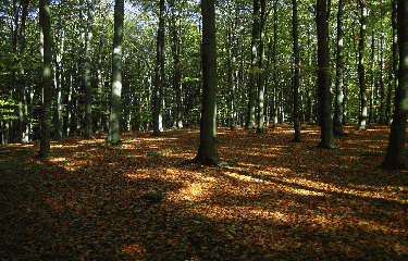 Grand huit autour du col du Ridoux -belgique
