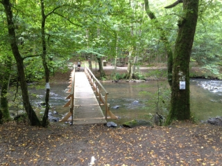 TRAIL DE MIRWART-belgique