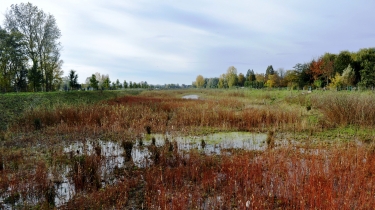 POPERINGE - HELLEKETELBOS-belgique