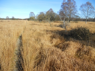 AUTOUR DU LAC D EUPEN ET DANS LES FAGNES-belgique