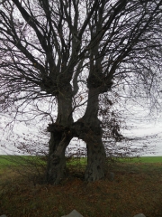 AUTOUR DE TAVIER-belgique