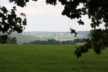 SPA - BOIS DE STANEUX-belgique