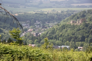 SPA - BOIS DE STANEUX-belgique