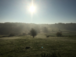 RIXENSART - LAC DE GENVAL-belgique
