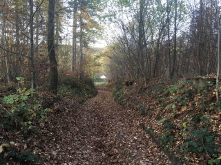 VILLERS-LA-VILLE - LA ROCHE - TANGISSART-belgique