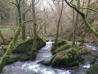 RANDO - BOUCLE N5 - PROVINCE DE NAMUR (CELLES, FURFOOZ, ...)-belgique