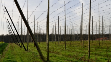 ABBAYE SINT-SIXTUS-belgique