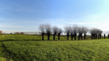 POPERINGEVAART-belgique