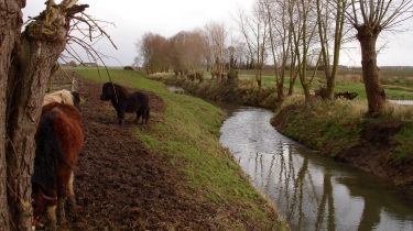 POPERINGEVAART-belgique