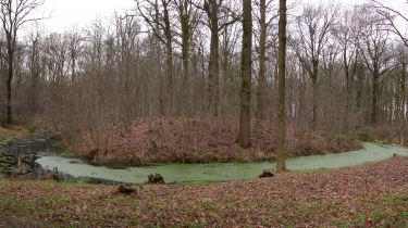 POPERINGE - GALGEBOSSEN-belgique
