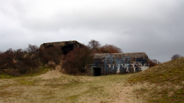 DUNE DU PERROQUET - VERSION SAUVAGE-belgique