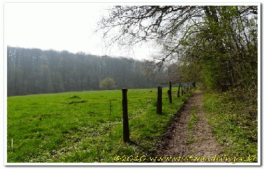 COLLINES GRAND CRU-belgique
